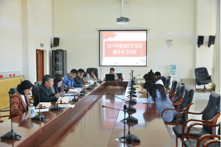 云大附中网络稿件审表-专题组织生活会、民主评议党员-2019.12.19932.png