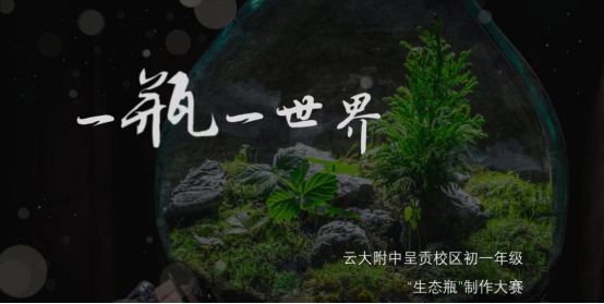 云大附中呈贡校区初一年级生态瓶大赛新闻稿105.png