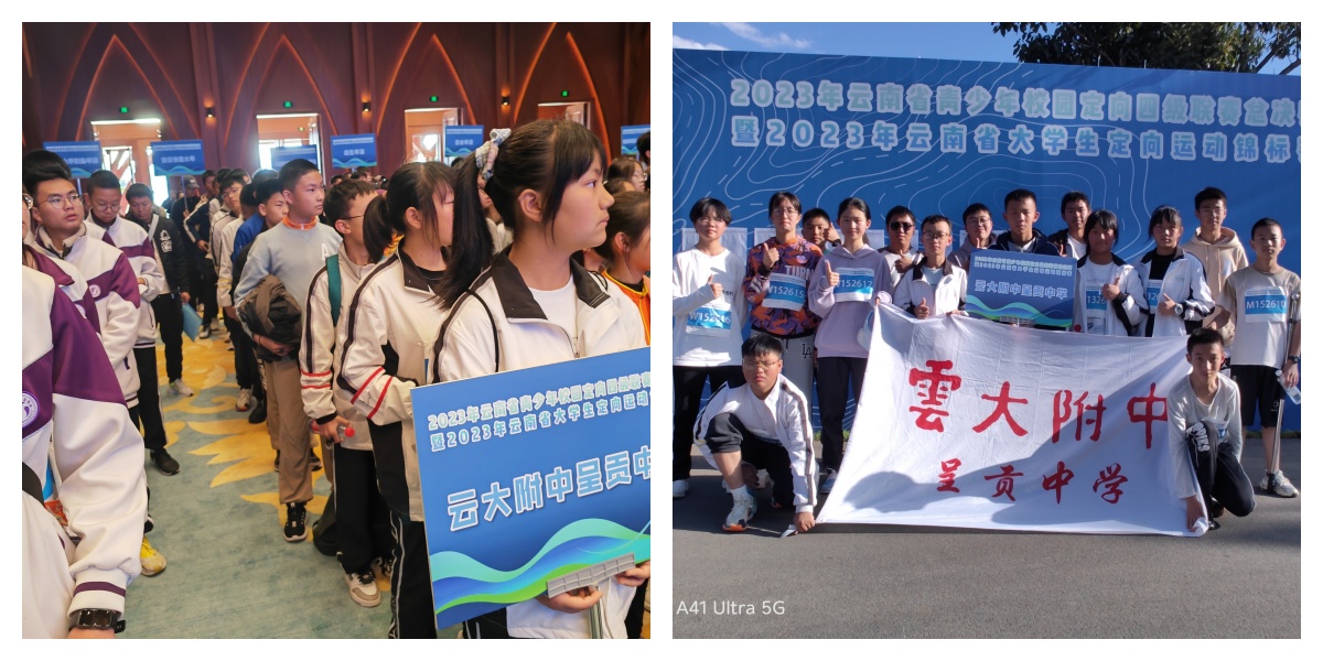 图片3